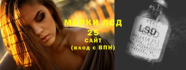 стафф Новодвинск