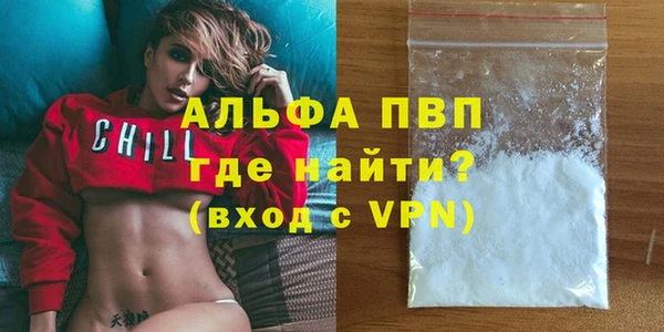 стафф Новодвинск