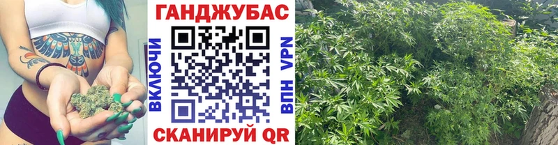 Бошки Шишки план купить наркотики цена Ардатов